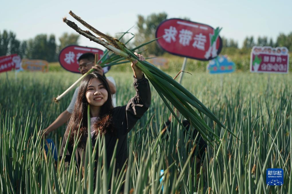 辉煌煌国际充